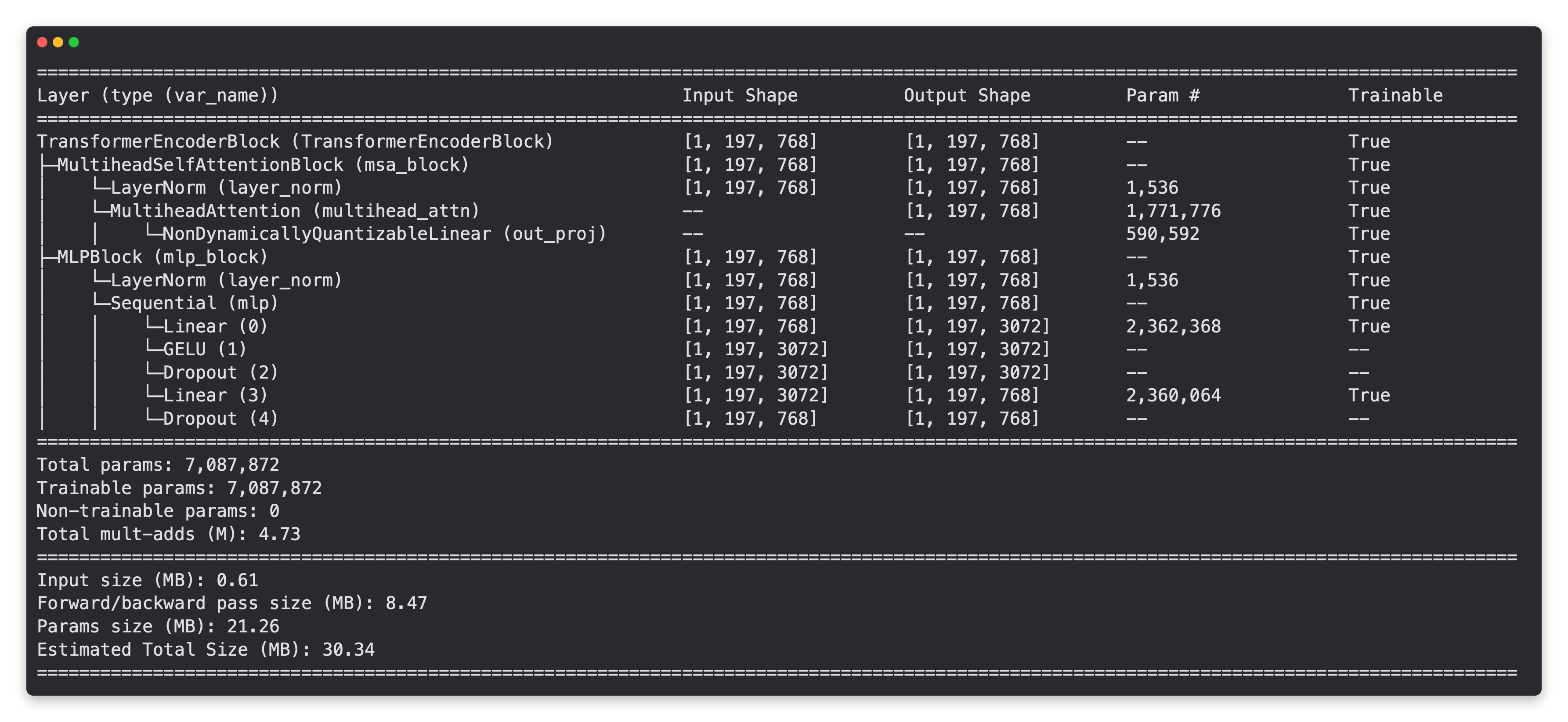 summary output of a Transformer Encoder layer in PyTorch